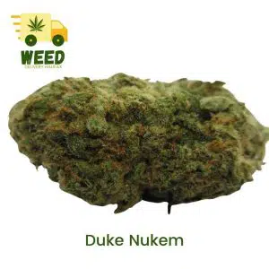 Duke Nukem